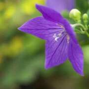 ヒメ日記 2025/07/17 10:02 投稿 りお 夜這専門発情する奥様たち 谷九店