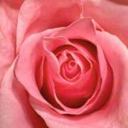 ヒメ日記 2025/07/20 09:04 投稿 りお 夜這専門発情する奥様たち 谷九店