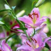 ヒメ日記 2025/07/21 09:01 投稿 りお 夜這専門発情する奥様たち 谷九店