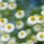 ヒメ日記 2025/07/22 10:02 投稿 りお 夜這専門発情する奥様たち 谷九店