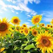 ヒメ日記 2025/07/23 10:02 投稿 りお 夜這専門発情する奥様たち 谷九店