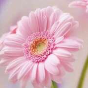 ヒメ日記 2025/07/24 10:02 投稿 りお 夜這専門発情する奥様たち 谷九店