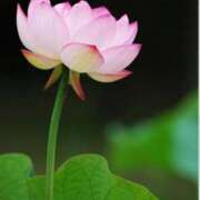 ヒメ日記 2025/07/25 10:11 投稿 りお 夜這専門発情する奥様たち 谷九店