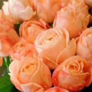 ヒメ日記 2025/07/26 10:02 投稿 りお 夜這専門発情する奥様たち 谷九店