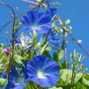 ヒメ日記 2025/07/27 10:02 投稿 りお 夜這専門発情する奥様たち 谷九店