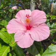 ヒメ日記 2025/07/28 10:02 投稿 りお 夜這専門発情する奥様たち 谷九店