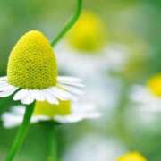 ヒメ日記 2025/07/29 10:02 投稿 りお 夜這専門発情する奥様たち 谷九店