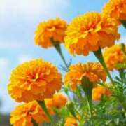 ヒメ日記 2025/07/30 10:01 投稿 りお 夜這専門発情する奥様たち 谷九店