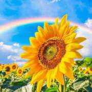 ヒメ日記 2025/08/01 10:11 投稿 りお 夜這専門発情する奥様たち 谷九店