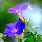 ヒメ日記 2025/08/02 10:02 投稿 りお 夜這専門発情する奥様たち 谷九店