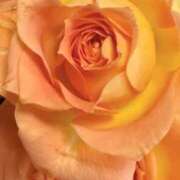 ヒメ日記 2025/08/03 09:09 投稿 りお 夜這専門発情する奥様たち 谷九店