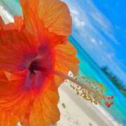 ヒメ日記 2025/08/04 10:02 投稿 りお 夜這専門発情する奥様たち 谷九店