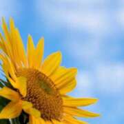 ヒメ日記 2025/08/07 10:02 投稿 りお 夜這専門発情する奥様たち 谷九店