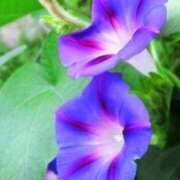 ヒメ日記 2025/08/08 10:11 投稿 りお 夜這専門発情する奥様たち 谷九店