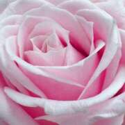 ヒメ日記 2025/08/09 09:03 投稿 りお 夜這専門発情する奥様たち 谷九店