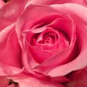 ヒメ日記 2025/08/11 09:02 投稿 りお 夜這専門発情する奥様たち 谷九店