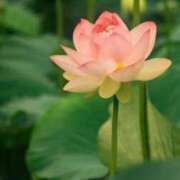 ヒメ日記 2025/08/12 09:02 投稿 りお 夜這専門発情する奥様たち 谷九店