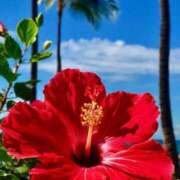 ヒメ日記 2025/08/13 10:02 投稿 りお 夜這専門発情する奥様たち 谷九店