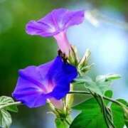 ヒメ日記 2025/08/14 10:02 投稿 りお 夜這専門発情する奥様たち 谷九店