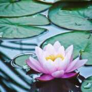 ヒメ日記 2025/08/15 10:02 投稿 りお 夜這専門発情する奥様たち 谷九店