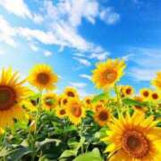 ヒメ日記 2025/08/17 10:02 投稿 りお 夜這専門発情する奥様たち 谷九店