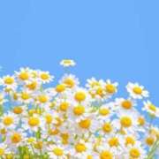 ヒメ日記 2025/08/18 10:17 投稿 りお 夜這専門発情する奥様たち 谷九店