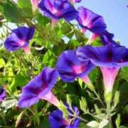 ヒメ日記 2025/08/21 10:01 投稿 りお 夜這専門発情する奥様たち 谷九店