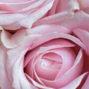 ヒメ日記 2025/08/23 09:02 投稿 りお 夜這専門発情する奥様たち 谷九店