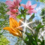 ヒメ日記 2025/08/24 10:02 投稿 りお 夜這専門発情する奥様たち 谷九店