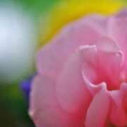 ヒメ日記 2025/08/26 10:02 投稿 りお 夜這専門発情する奥様たち 谷九店