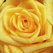 ヒメ日記 2025/08/27 09:02 投稿 りお 夜這専門発情する奥様たち 谷九店