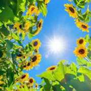 ヒメ日記 2025/08/29 10:02 投稿 りお 夜這専門発情する奥様たち 谷九店