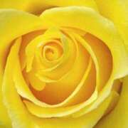 ヒメ日記 2025/08/30 09:01 投稿 りお 夜這専門発情する奥様たち 谷九店