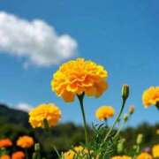 ヒメ日記 2025/08/31 10:02 投稿 りお 夜這専門発情する奥様たち 谷九店