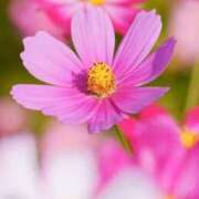 ヒメ日記 2025/09/01 10:11 投稿 りお 夜這専門発情する奥様たち 谷九店