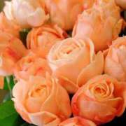 ヒメ日記 2025/09/03 10:17 投稿 りお 夜這専門発情する奥様たち 谷九店