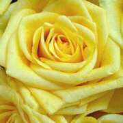 ヒメ日記 2025/09/04 09:02 投稿 りお 夜這専門発情する奥様たち 谷九店