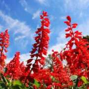 ヒメ日記 2025/09/07 10:15 投稿 りお 夜這専門発情する奥様たち 谷九店