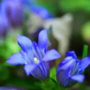 ヒメ日記 2025/09/08 10:02 投稿 りお 夜這専門発情する奥様たち 谷九店