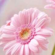 ヒメ日記 2025/09/10 10:11 投稿 りお 夜這専門発情する奥様たち 谷九店