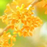 ヒメ日記 2025/09/11 10:02 投稿 りお 夜這専門発情する奥様たち 谷九店