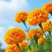 ヒメ日記 2025/09/12 10:02 投稿 りお 夜這専門発情する奥様たち 谷九店