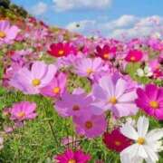 ヒメ日記 2025/09/13 10:02 投稿 りお 夜這専門発情する奥様たち 谷九店