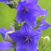 ヒメ日記 2025/09/14 10:02 投稿 りお 夜這専門発情する奥様たち 谷九店