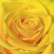 ヒメ日記 2025/09/15 09:02 投稿 りお 夜這専門発情する奥様たち 谷九店