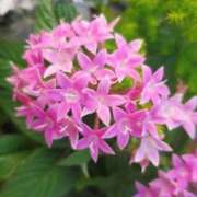 ヒメ日記 2025/09/16 10:12 投稿 りお 夜這専門発情する奥様たち 谷九店