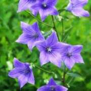 ヒメ日記 2025/09/20 10:02 投稿 りお 夜這専門発情する奥様たち 谷九店