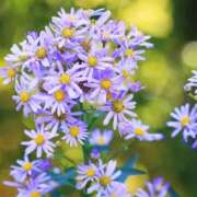 ヒメ日記 2025/09/21 10:02 投稿 りお 夜這専門発情する奥様たち 谷九店