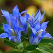 ヒメ日記 2025/09/22 10:02 投稿 りお 夜這専門発情する奥様たち 谷九店