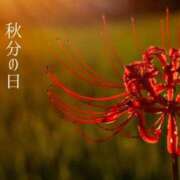 ヒメ日記 2025/09/23 09:05 投稿 りお 夜這専門発情する奥様たち 谷九店